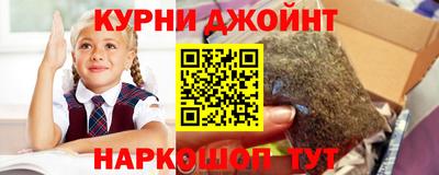 сатива Брянск