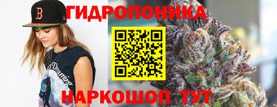 кокс Боровичи
