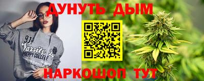 сатива Брянск