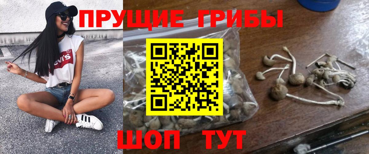 Галлюциногенные грибы Psilocybine cubensis  купить наркоту  Киров  Вход с VPN 